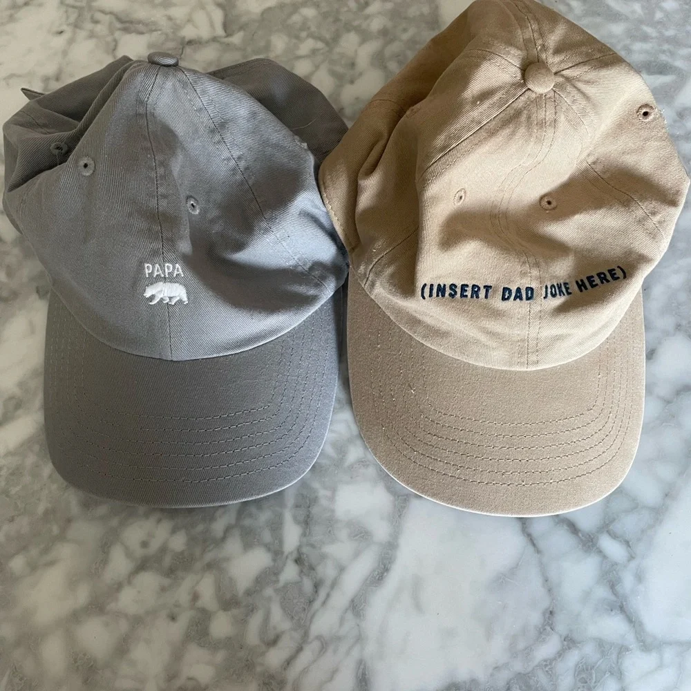 NWOT Dad Hats - Picture 1 of 4